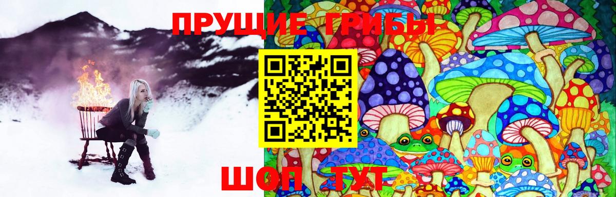 Псилоцибиновые грибы Magic Shrooms Лосино-Петровский