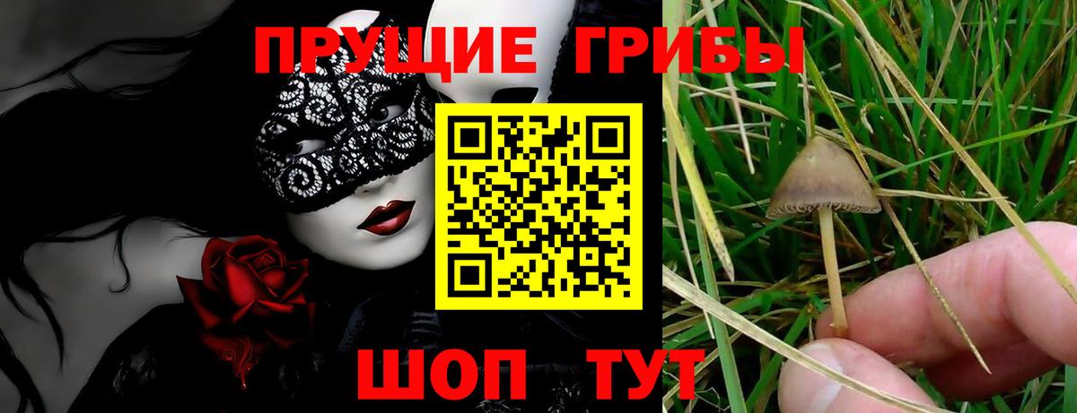 Лосино-Петровский  Псилоцибиновые грибы прущие грибы  Галлюциногенные грибы мицелий  Вход с VPN 